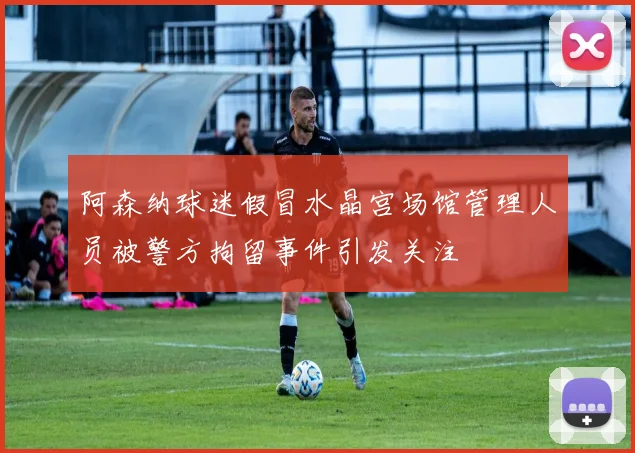 阿森纳球迷假冒水晶宫场馆管理人员被警方拘留事件引发关注